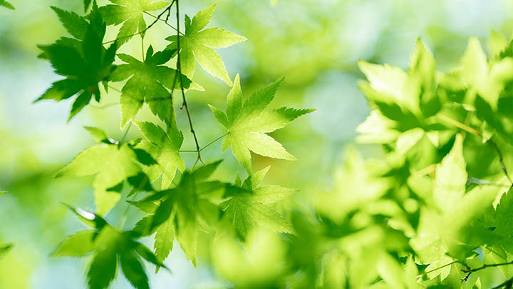 轻松解决死了么app提示网络异常困扰